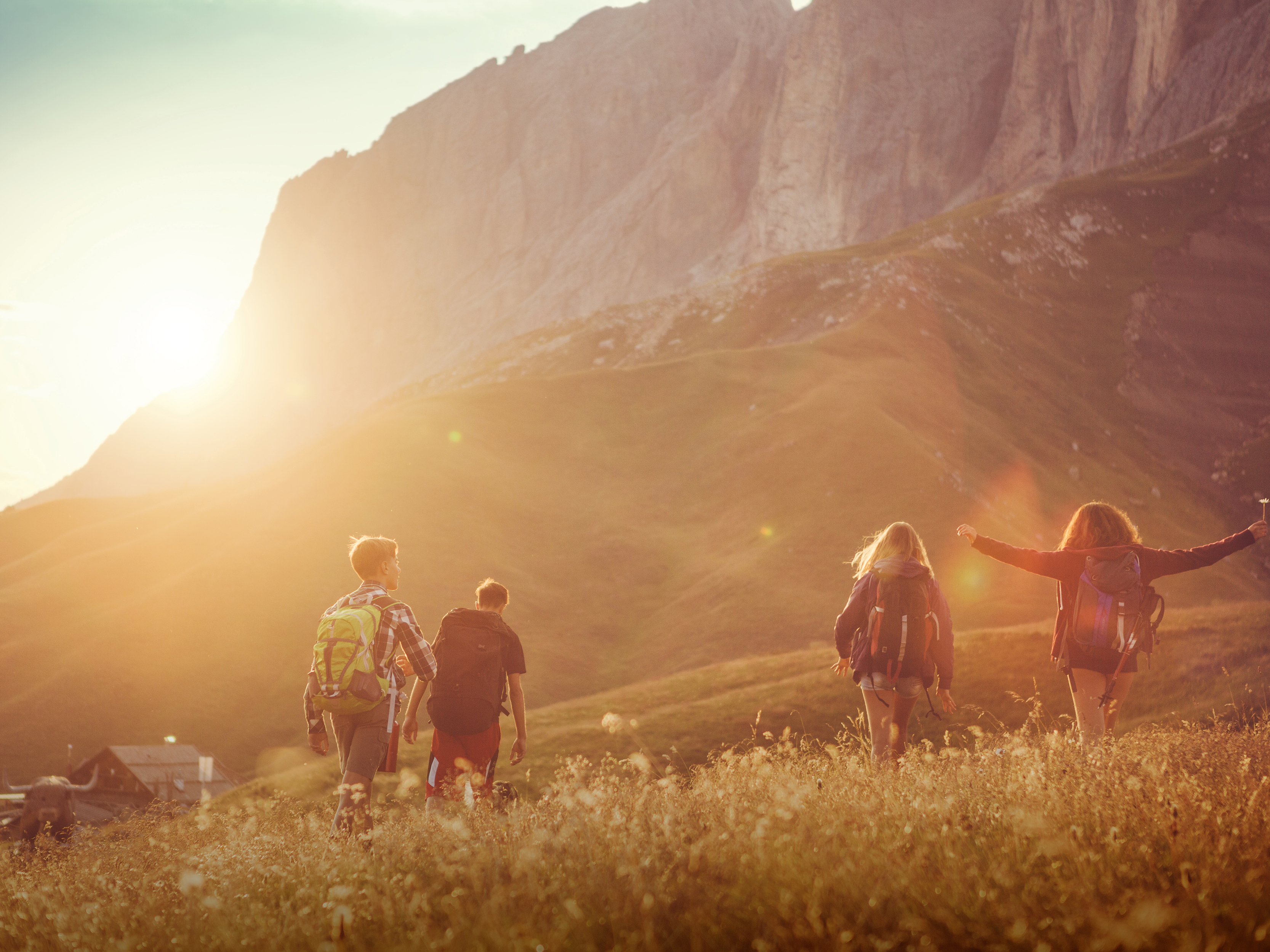 Eine kleine Gruppe beim Wandern in den Bergen