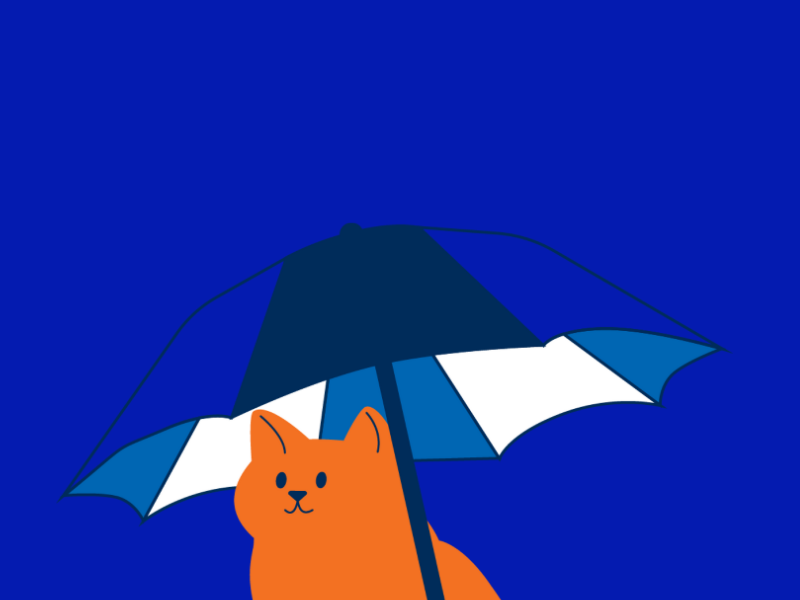 Eine orangene Katze steht unter einem blauen Regenschirm auf blauem Hintergrund.
